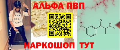 гашик Кингисепп