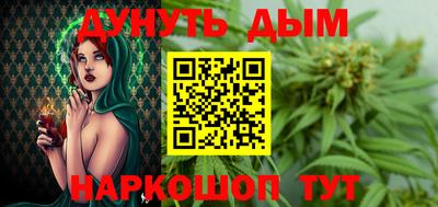 гашик Кингисепп