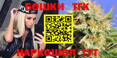 гашик Кингисепп