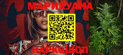 гашик Кингисепп