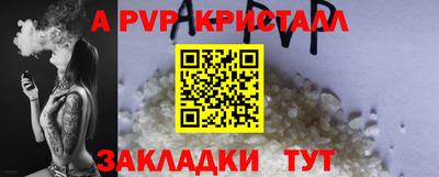 гашик Кингисепп