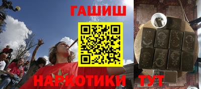 гашик Кингисепп