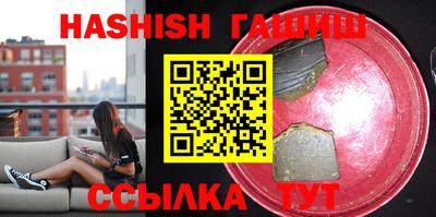 гашик Кингисепп