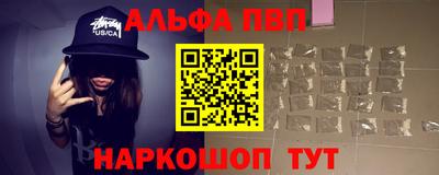 гашик Кингисепп