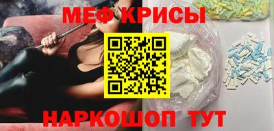 гашик Кингисепп