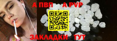 гашик Кингисепп